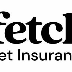 Fetch Pet Insurance: The Perfect Partner for Pet Parents