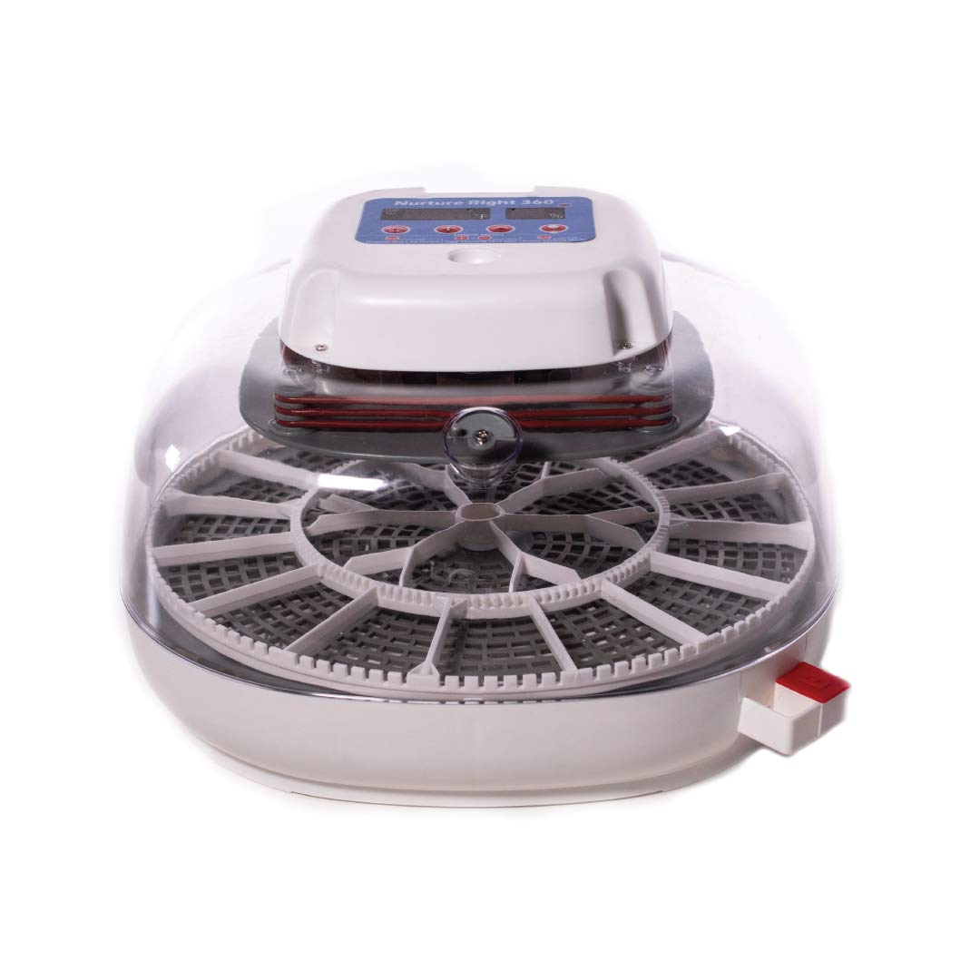 Hatch Success Starts Here: The Harris Farms Nurture Right Incubator