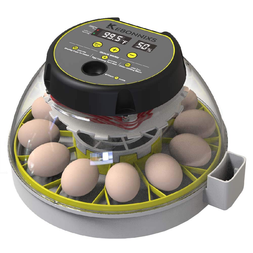 Kebonnixs Egg Incubator Review: Is It the Perfect Hatch Mate for You?