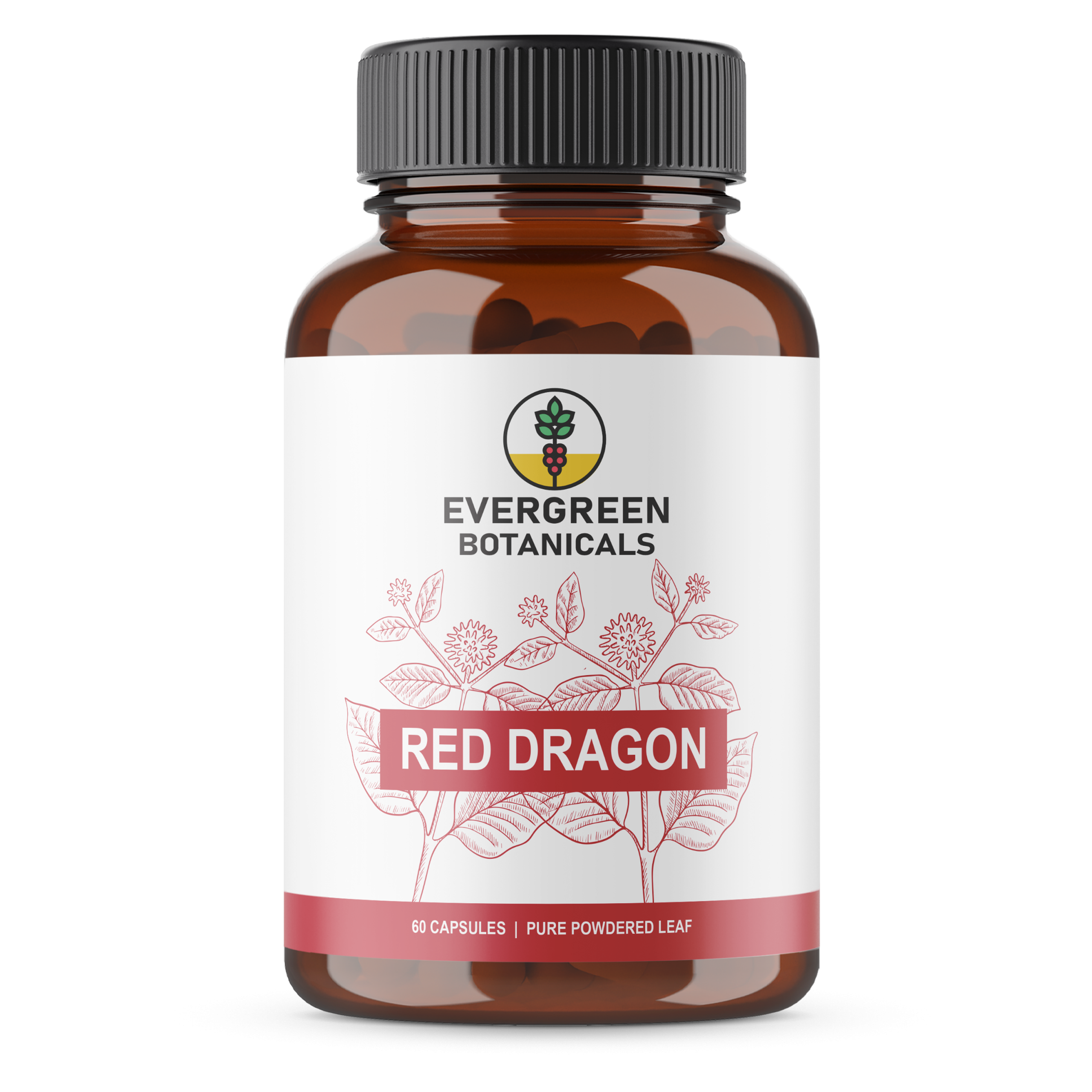 Red Dragon